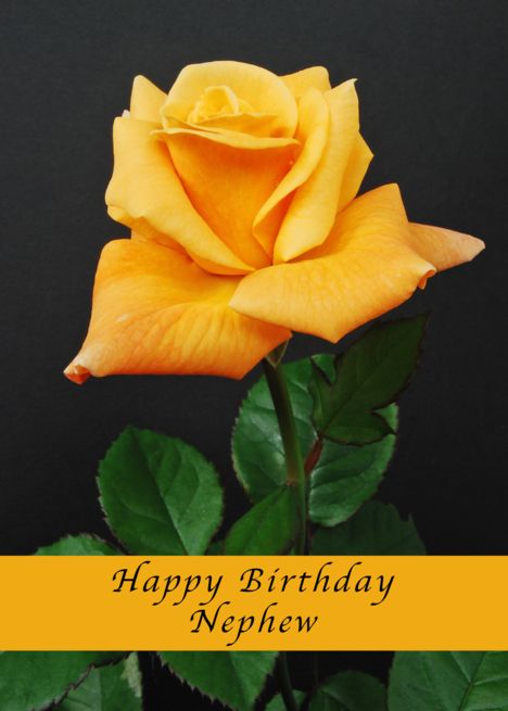 Happy Birthday Nephew, orange-yellow rose card