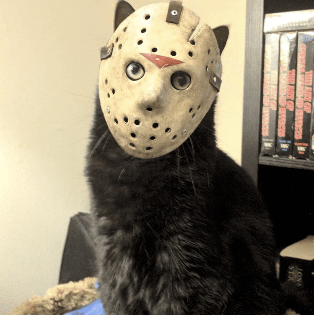 Happy Friday The 13Th Images
