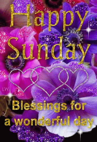 Happy Sunday Blessings GIF - Happy Sunday Blessings Wonderful Day - Discover & S