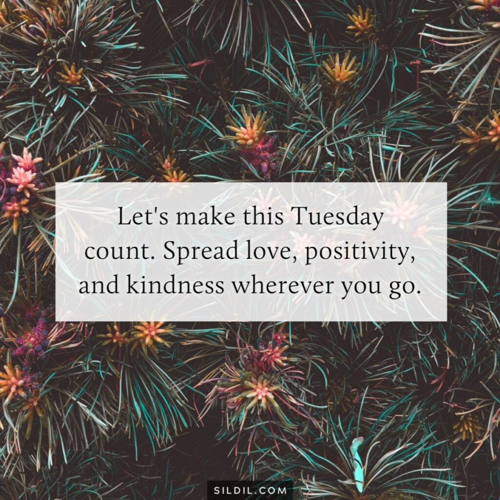 220+ Happy Tuesday Blessings Quotes (Inspirational)