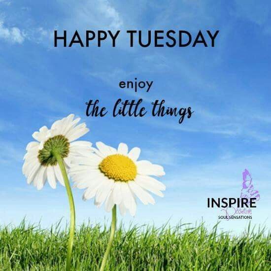 Happy Tuesday Enjoy The Little Things