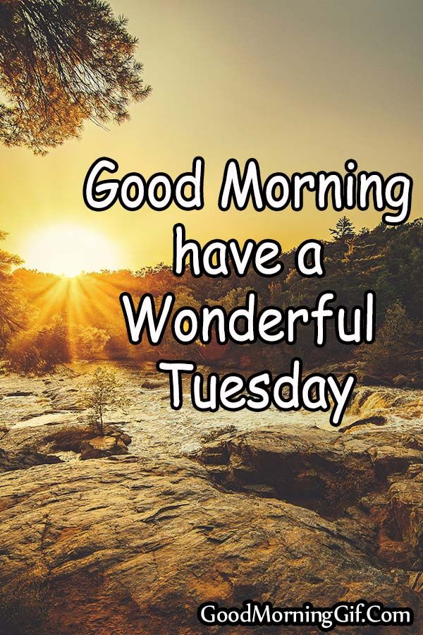 Happy Tuesday Good Morning Image For Whatsapp, Facebook, Pinterest