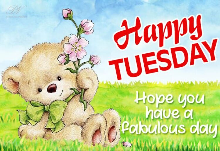 Happy Tuesday – Hope You Have A Fabulous Day