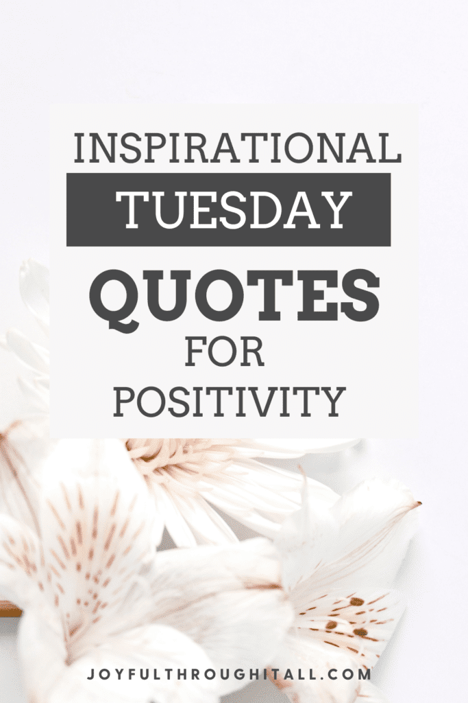 Happy Tuesday Morning Quotes For A Positive Mindset Hd Wallpaper