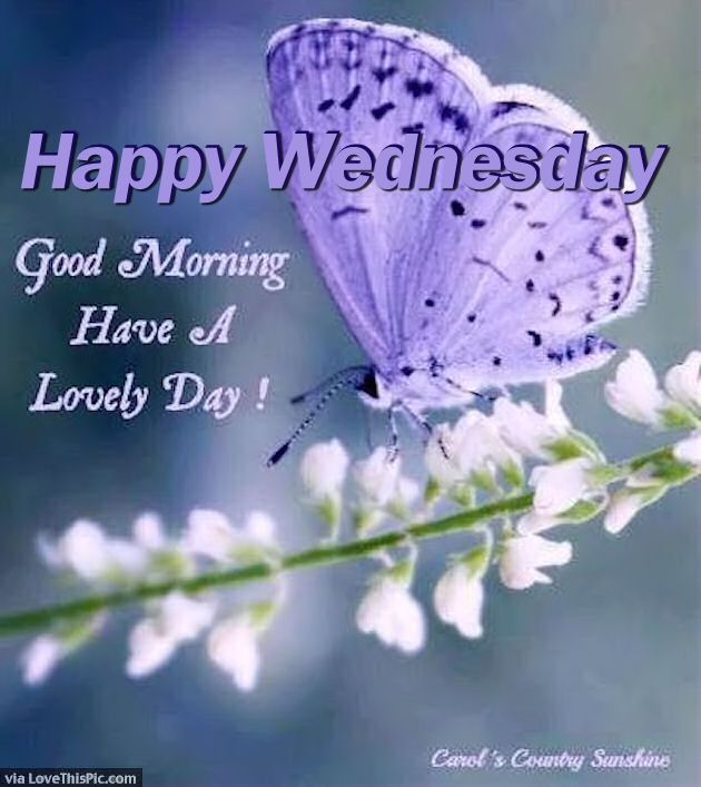 Happy Wednesday Good Morning Have A Lovey Day Hd Wallpaper