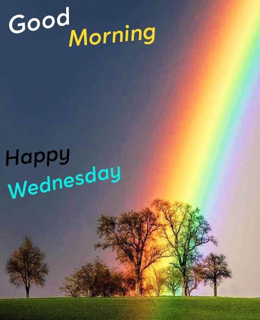 Happy Wednesday Good Morning Images || Good Morning Happy Wednesday Images || Wh