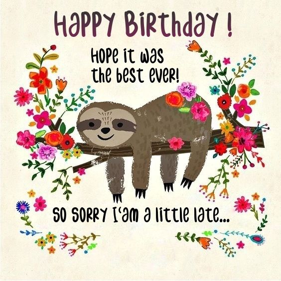 Happy Belated Birthday - Late Sloth☺ First Time On Pinterest