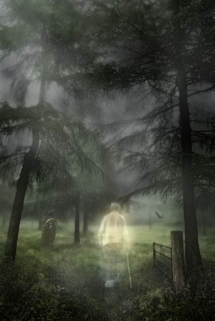 Haunting Ghost Stories We Dare You to Read - Scare Street