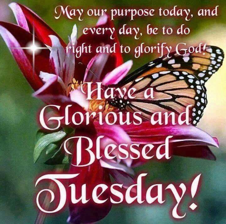 Have A Glorious And Blessed Tuesday!