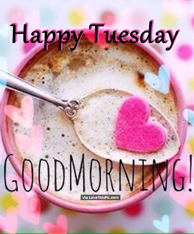 Have A Happy Tuesday Good Morning HD Wallpaper