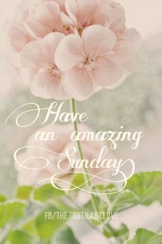 Have An Amazing Sunday Images