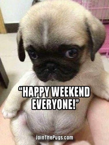 Have a Great Weekend • Join The Pugs