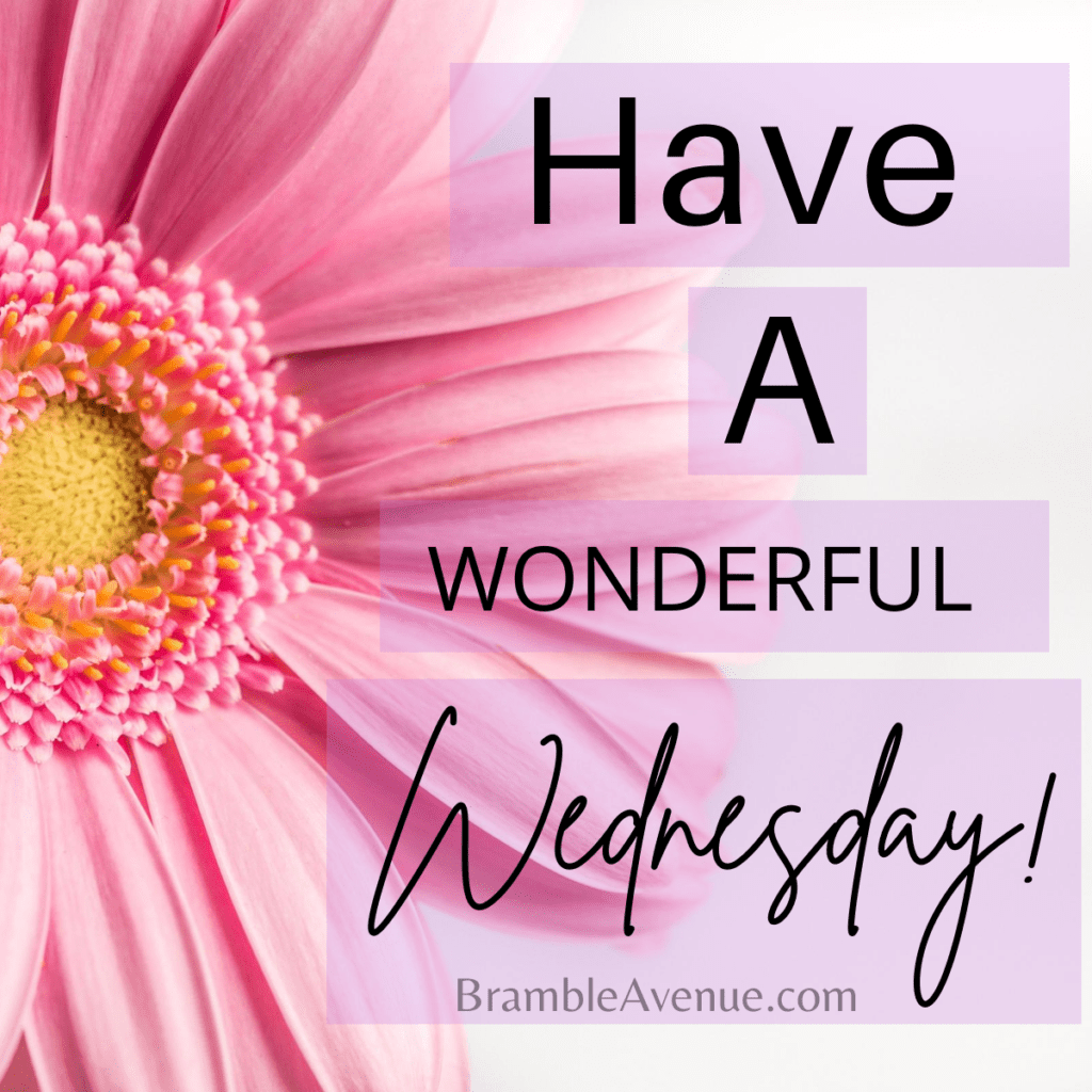 Have A Wonderful Wednesday Bramble Avenue Images