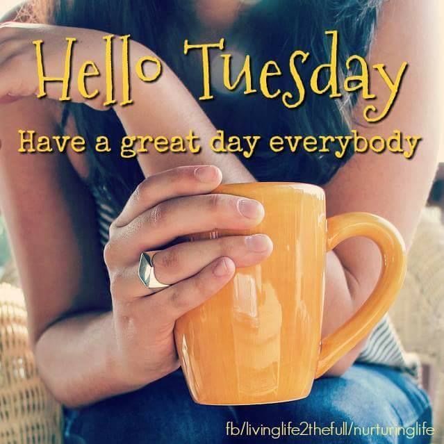 Have A Great Day Everybody Hello Tuesday Hd Wallpaper