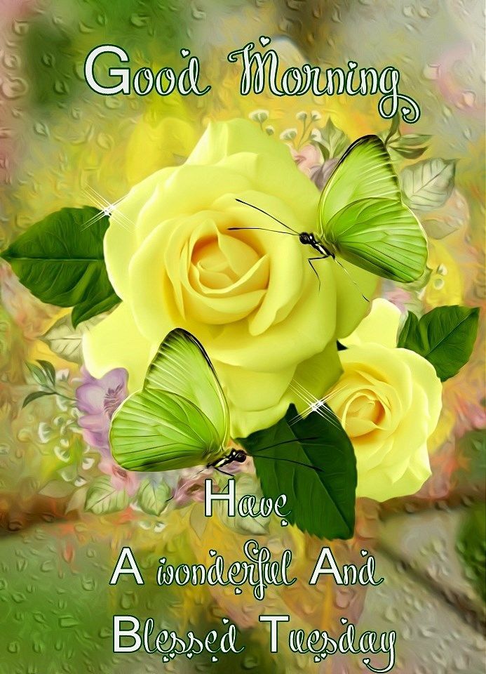 Have A Wonderful And Blessed Tuesday