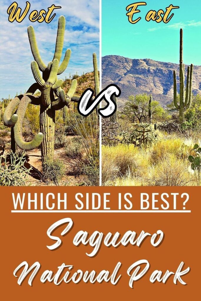 Head-To-Head: Saguaro National Park East Vs West!