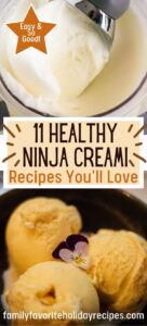 Healthy Ninja Creami Recipes to Satisfy Your Sweet Tooth HD Wallpaper