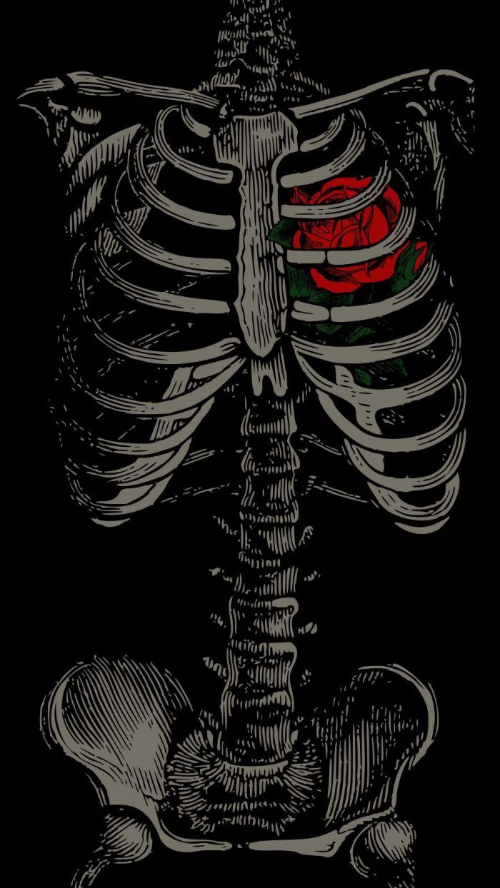 Heart Skeleton IPhone , , IPhone HD Wallpaper