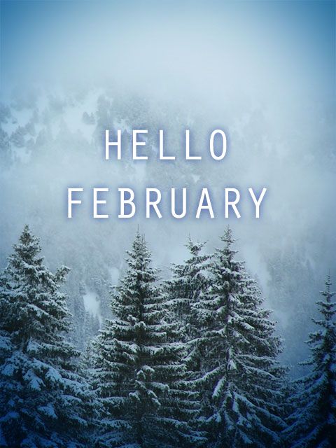 Hello February : photo gratuite HD neige