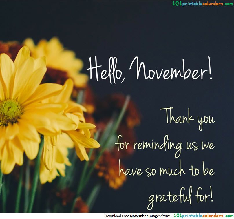 Hello November Images Quotes