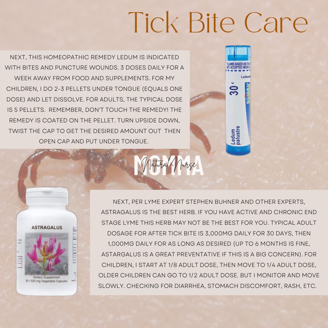 Herbs,Homeopathy for After Tick Bite HD Wallpaper