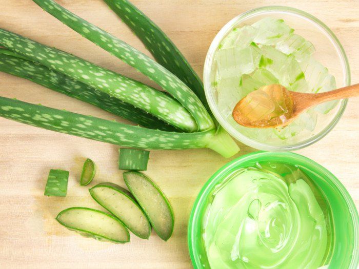 Homemade Aloe Vera Juice Recipe Organic Facts Images