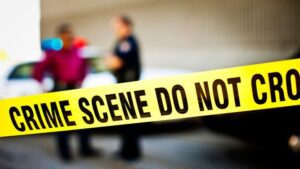 How Crime Scene Investigation Works HD Wallpaper