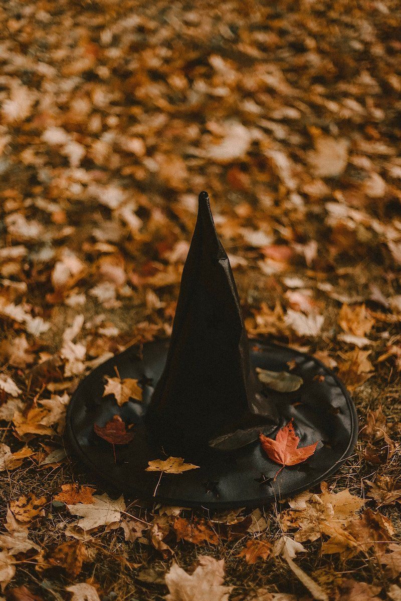 How to Build Halloween Silhouettes For a Spooky Yard