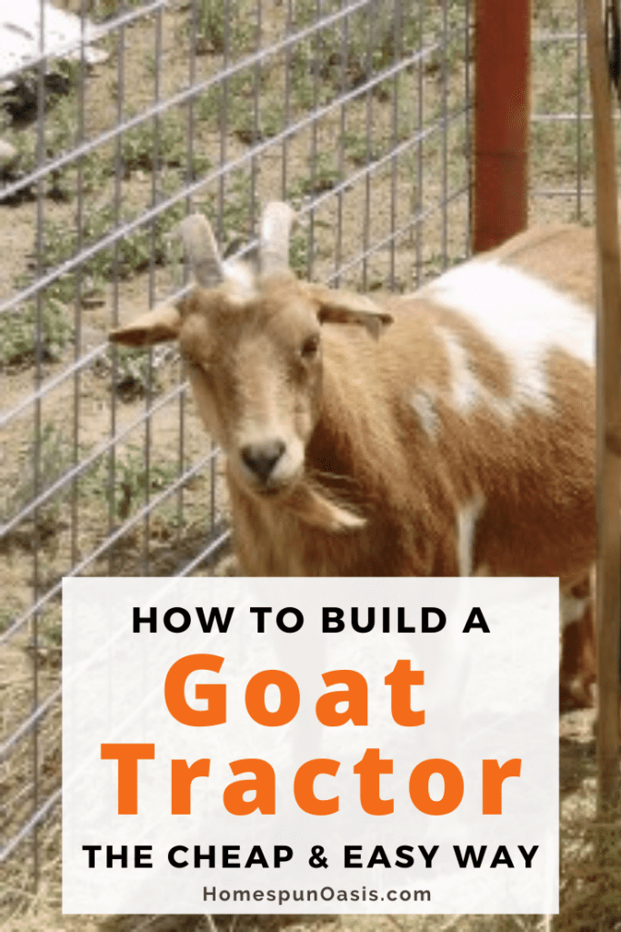 How To Build A Goat Tractor Images