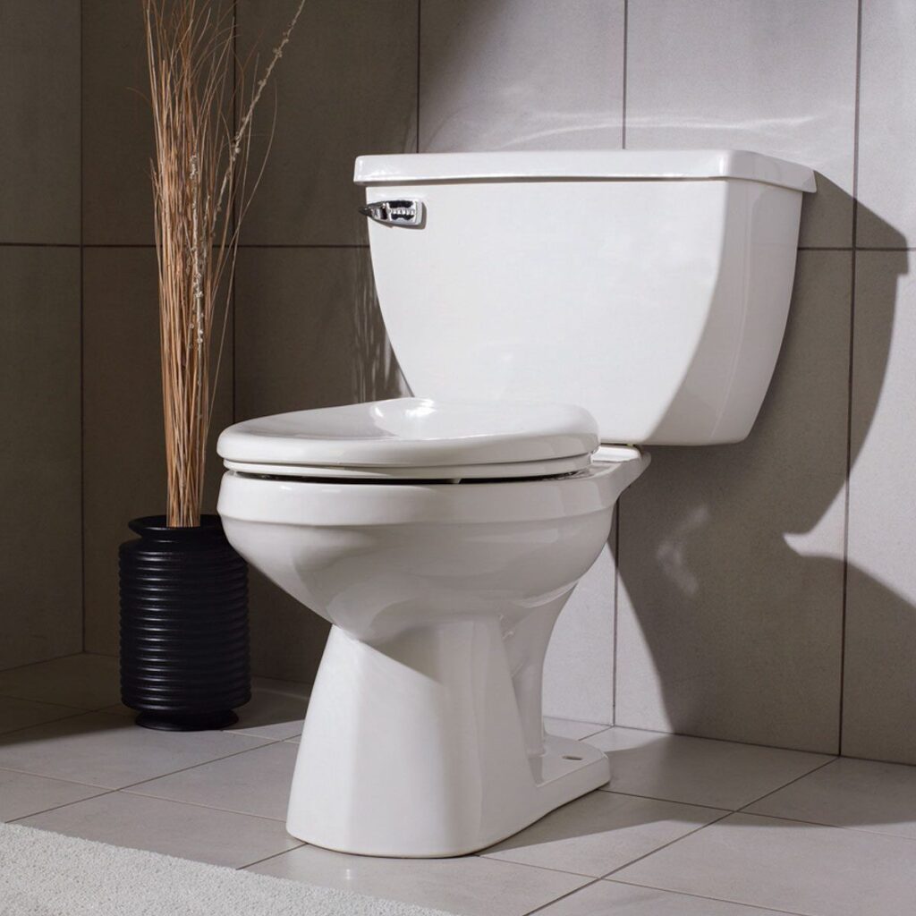 How To Choose The Best Toilet For Your Home