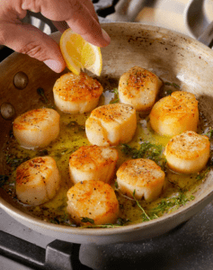 How to Cook Scallops Like a Pro (Plus 30 Easy Scallop Recipes to Get You Started HD Wallpaper