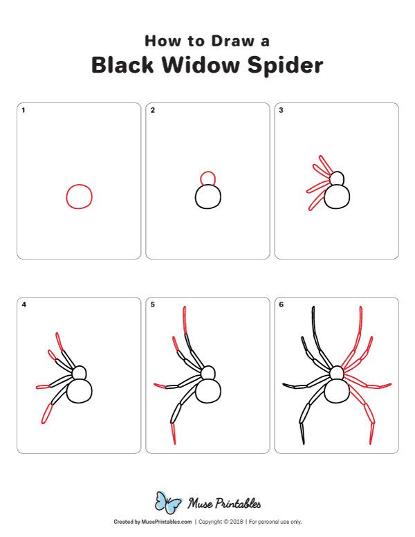 How To Draw A Black Widow Spider Images