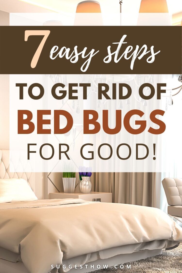 How To Get Rid Of Bed Bugs For Good - Easy 7 Steps Guide