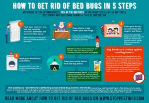 How to Get Rid of Bed Bugs with Bombs , Foggers. Do they really workHD Wallpaper