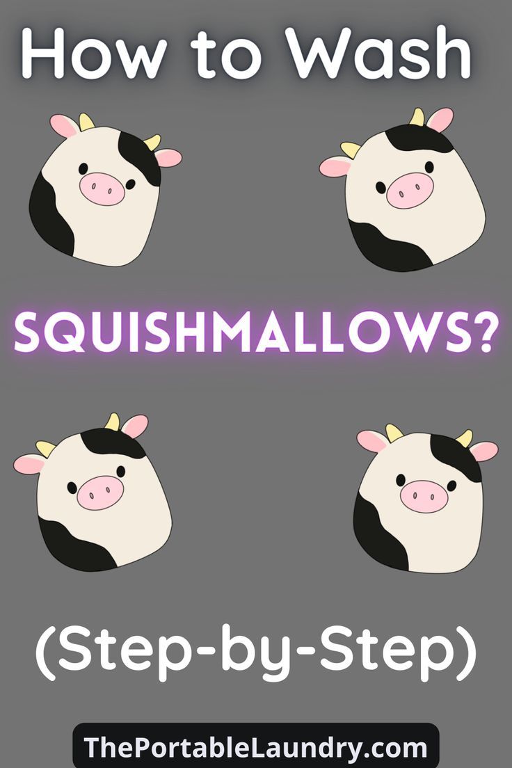 How to Wash Squishmallows? (Step-by-Step)