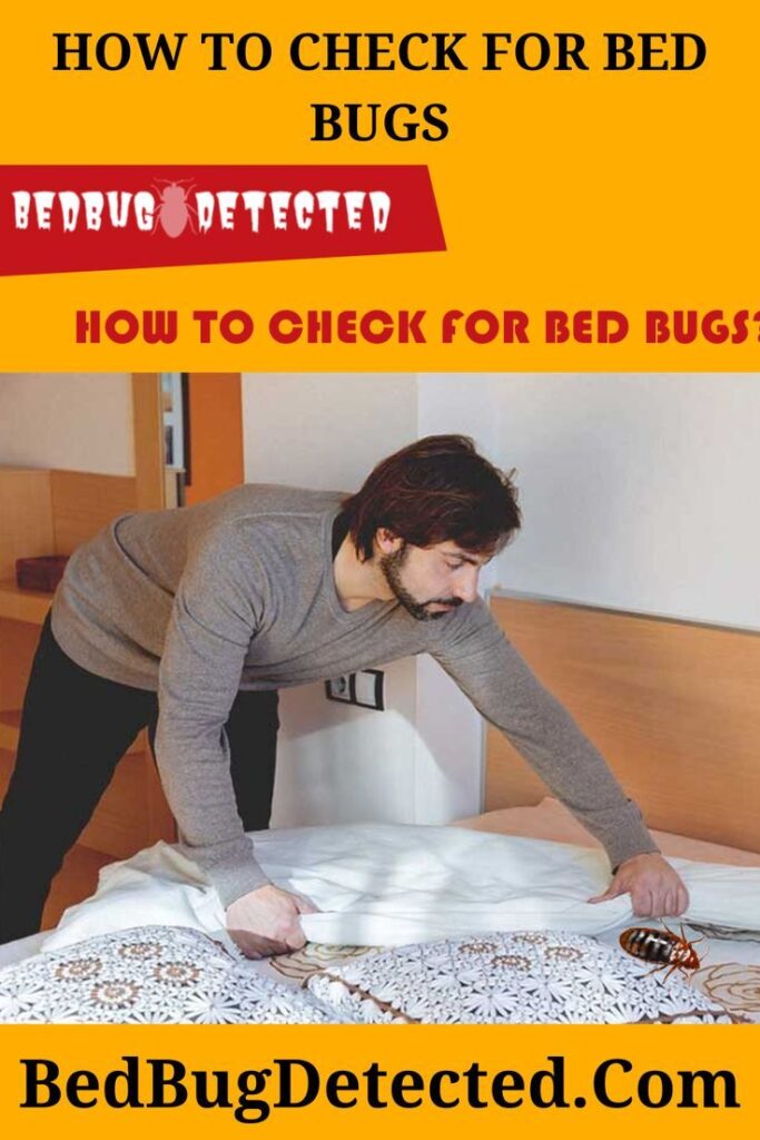 How To Check For Bed Bugs Images