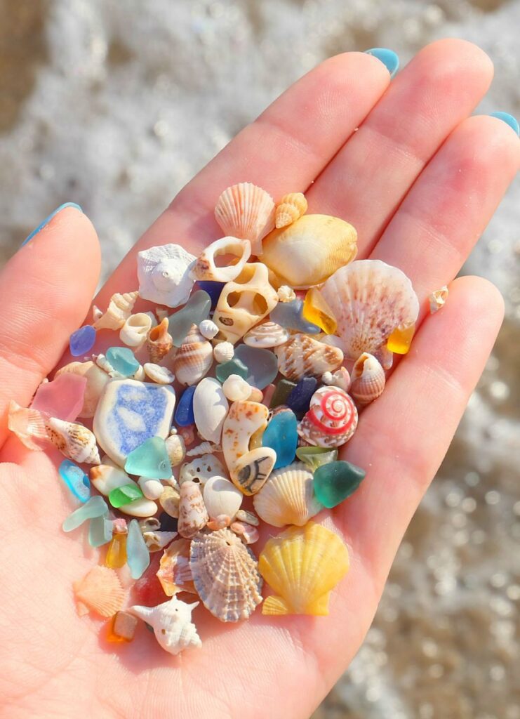 I Spend Days Looking For Sea Treasures On The Beach And Here Are 38 Most Interes