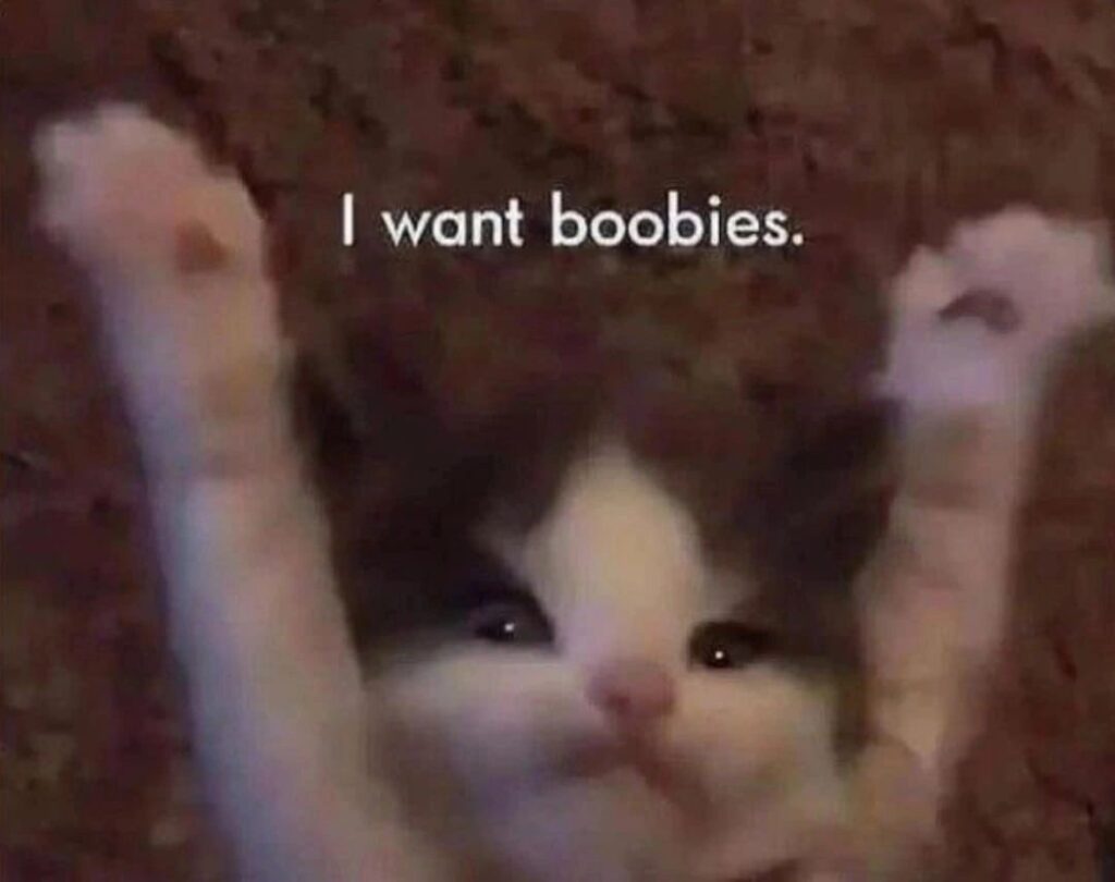 I Want Boobies