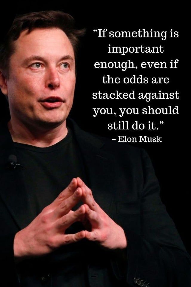 &Quot;If Something Is Important Enough, Even...&Quot; - Elon Musk [735X1102]