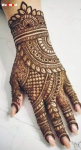 Indian Mehndi Designs 8