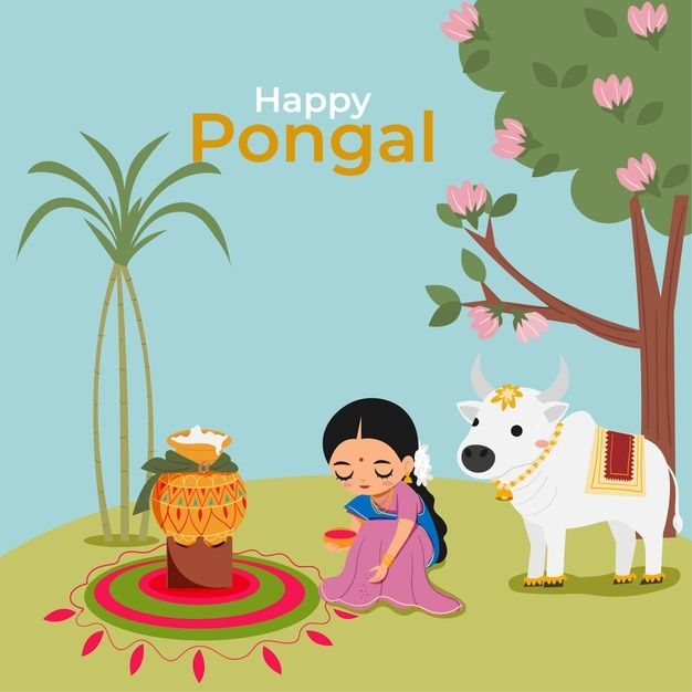 Indian Woman And Cow With Pongal Rice For Happy Pongal