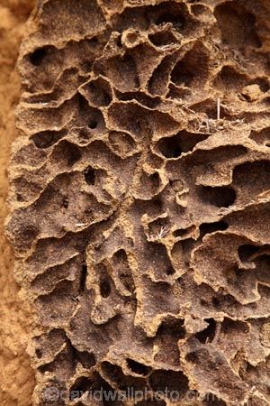 Inside Of Broken Cathedral Termite Mound Kakadu National Park Northern