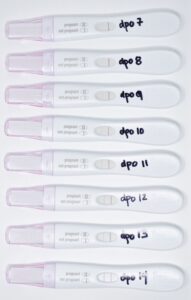 Is Your Positive Pregnancy Test For Real, Find Out Now HD Wallpaper
