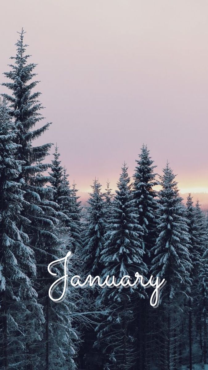 January Aesthetic Images