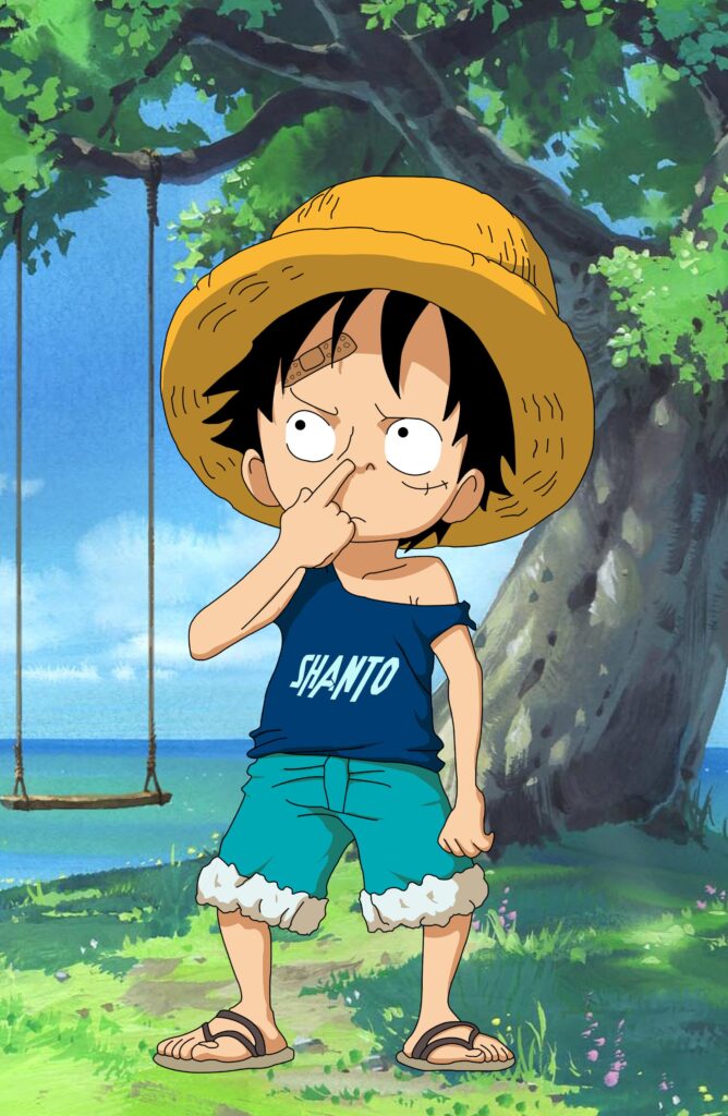 Kid Luffy Monkey D Luffy One Piece Anime