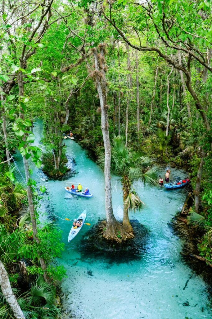 Kings Landing Florida Kayaking Crystal Clear Emerald Cut Images