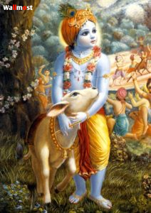 Krishna Images Hd 3