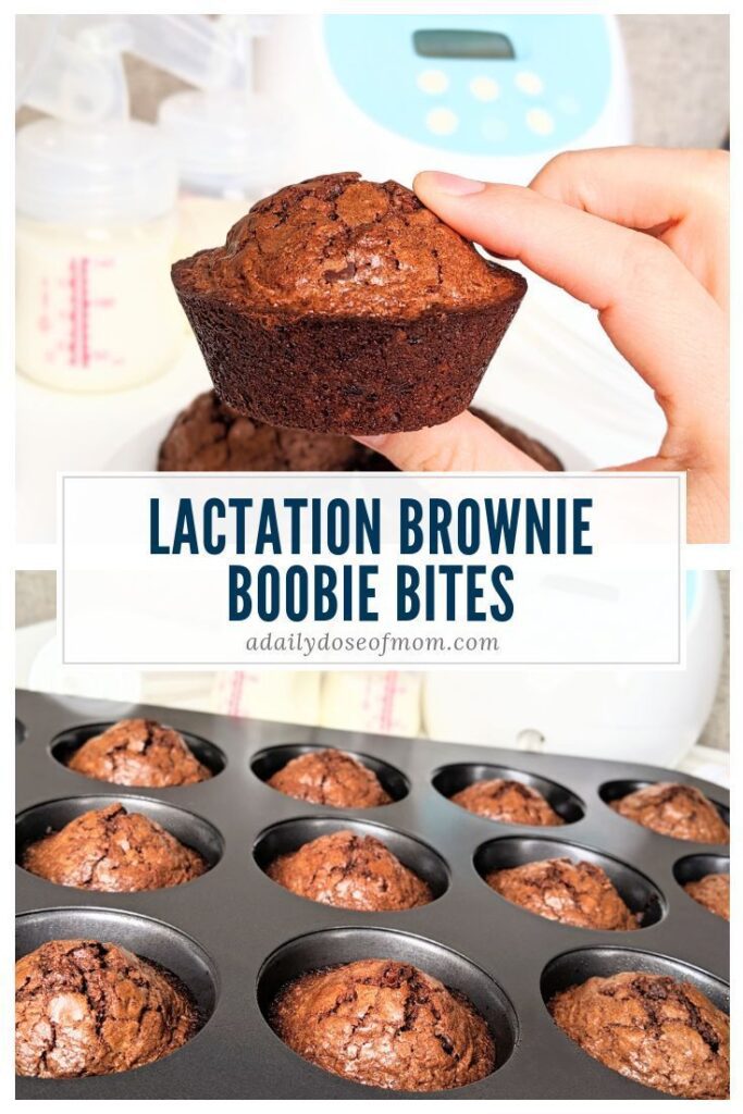 Lactation Brownie Boobie Bites