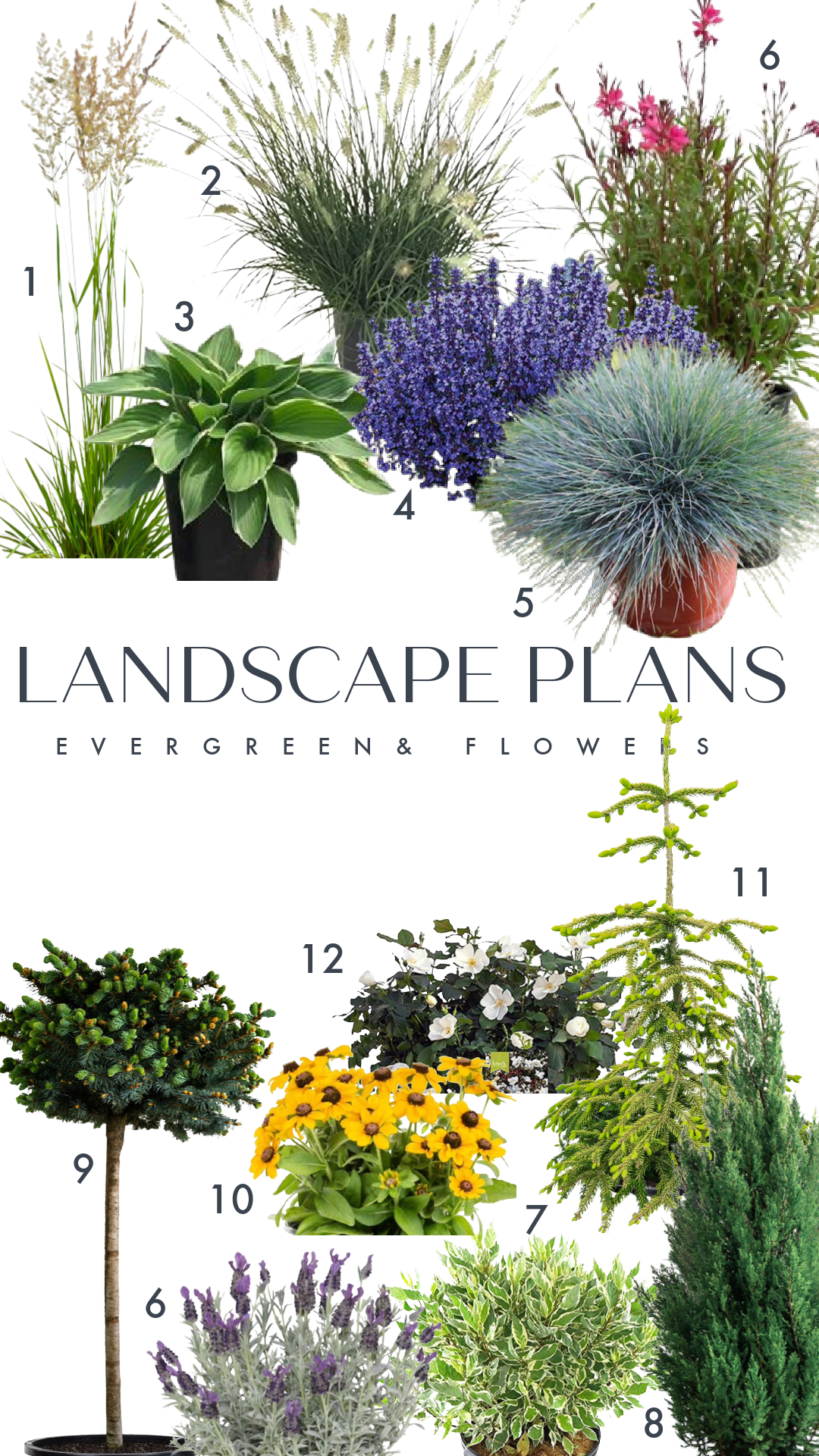 Landscape Plans for Backyard and Front yard - Nesting With Grace