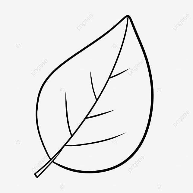 Large Leaf Black And White Clipart, Leaf Clipart Black And White, Leaf, Clipart 